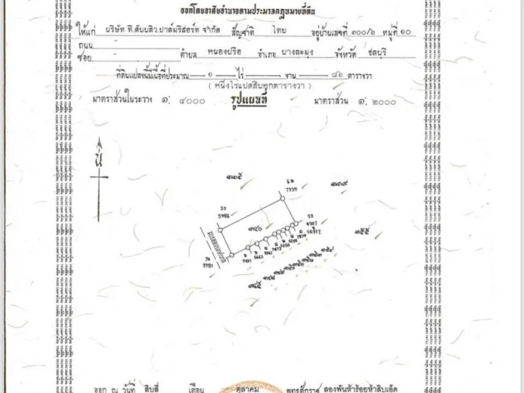 ขายเลยวันนี้ถูกสุดๆ ที่ดิน 9-1-41 ไร่ ติดทะเล ถเลียบหาดจอมเทียน ติดกับร้านปูเป็นและร้านลุงไสว