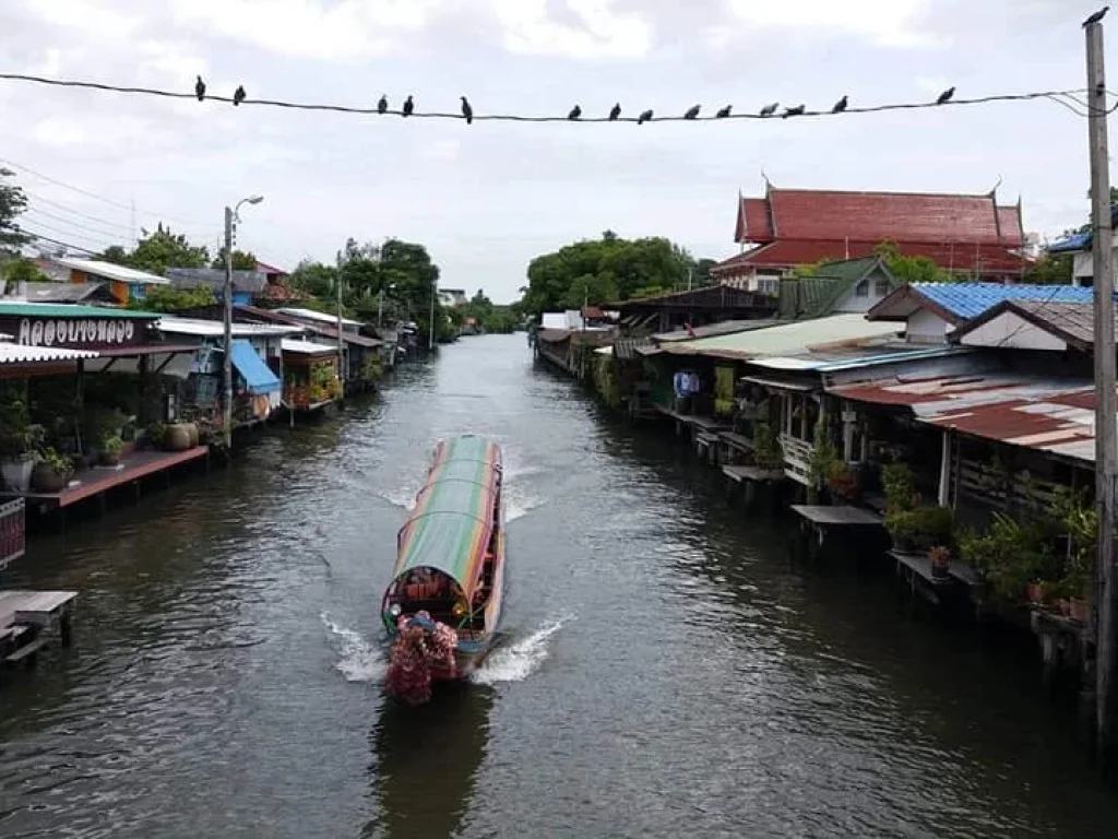 ขายที่ดิน267ตรวติดคลองบางกอกใหญ่แหล่งท่องเที่ยวตลาดน้ำชุมชนคลองบางหลวง ซอยจรัญสนิทวงศ์3 แขวงวัดท่าพระ เขตบางกอกใหญ่ กรุงเทพฯ