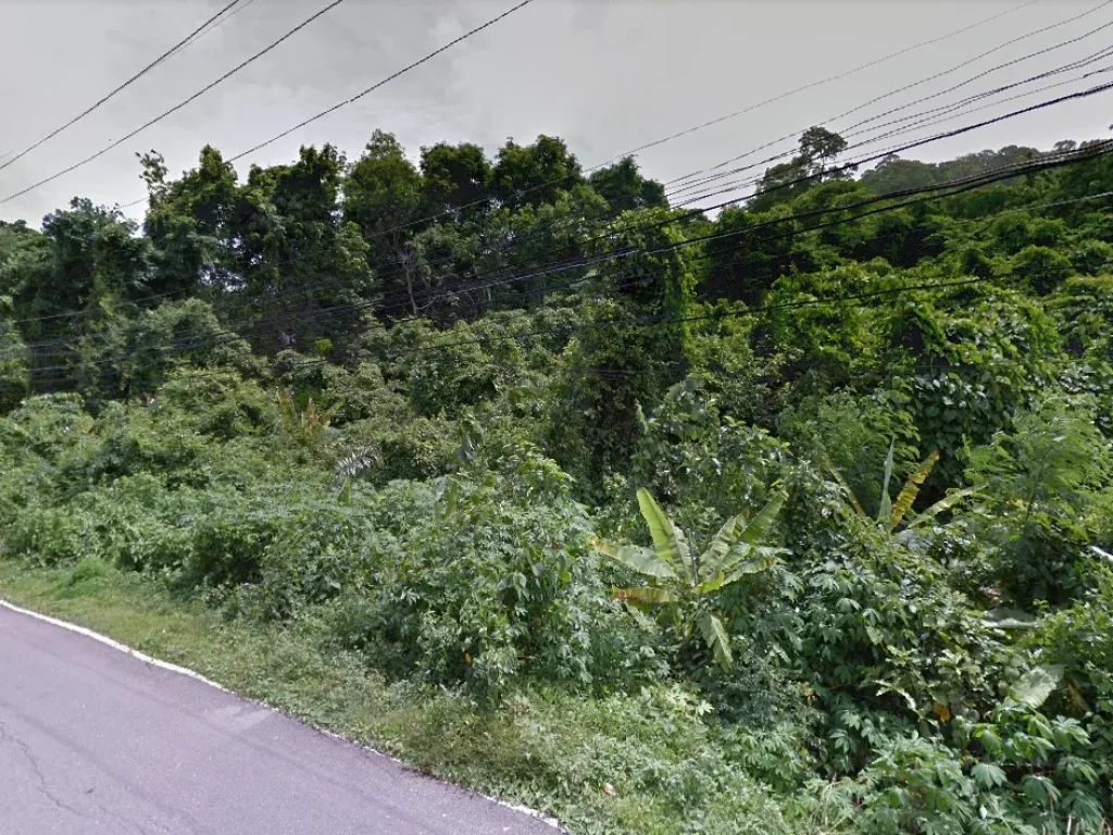 ขายที่ดิน Land For Sale Sea Viwe Ko Sirey 