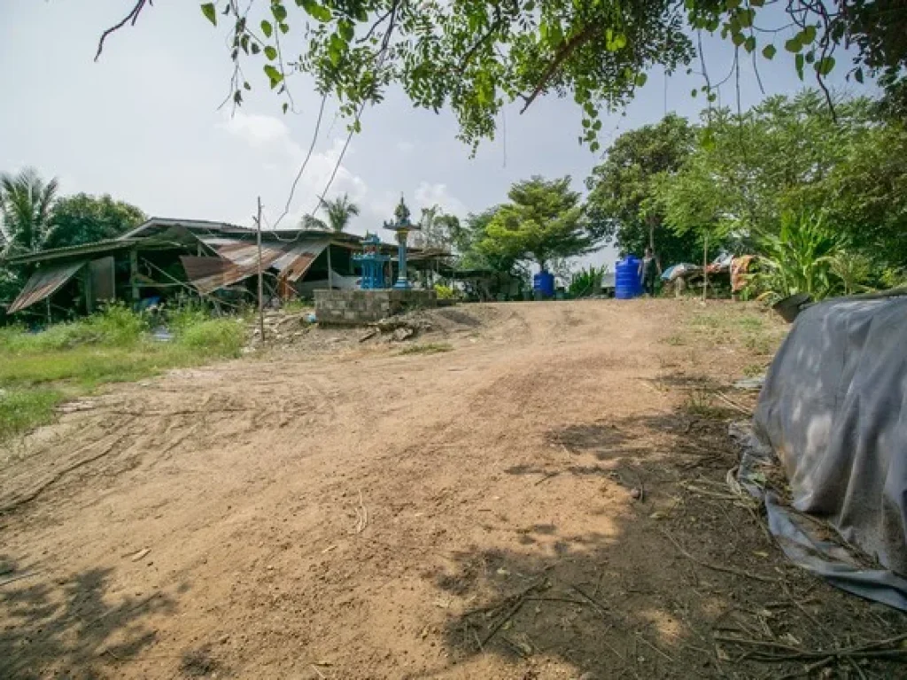 ขาย ที่ดิน ตบางเตย อบ้านสร้าง จปราจีนบุรี 20 ไร่ 160 ตรว