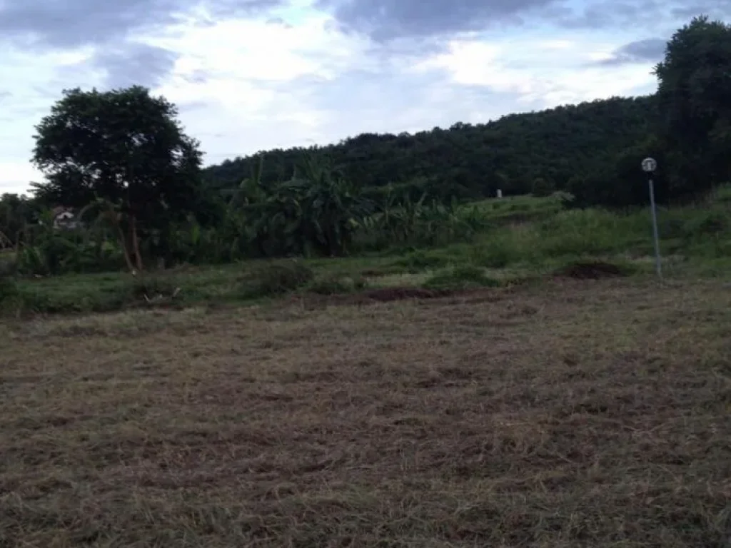 Land For Sale ที่ดิน 37 ไร่ สุพรรณบุรี ด้านหน้า ติดถนนใหญ่ ด้านหลัง ติดเขา