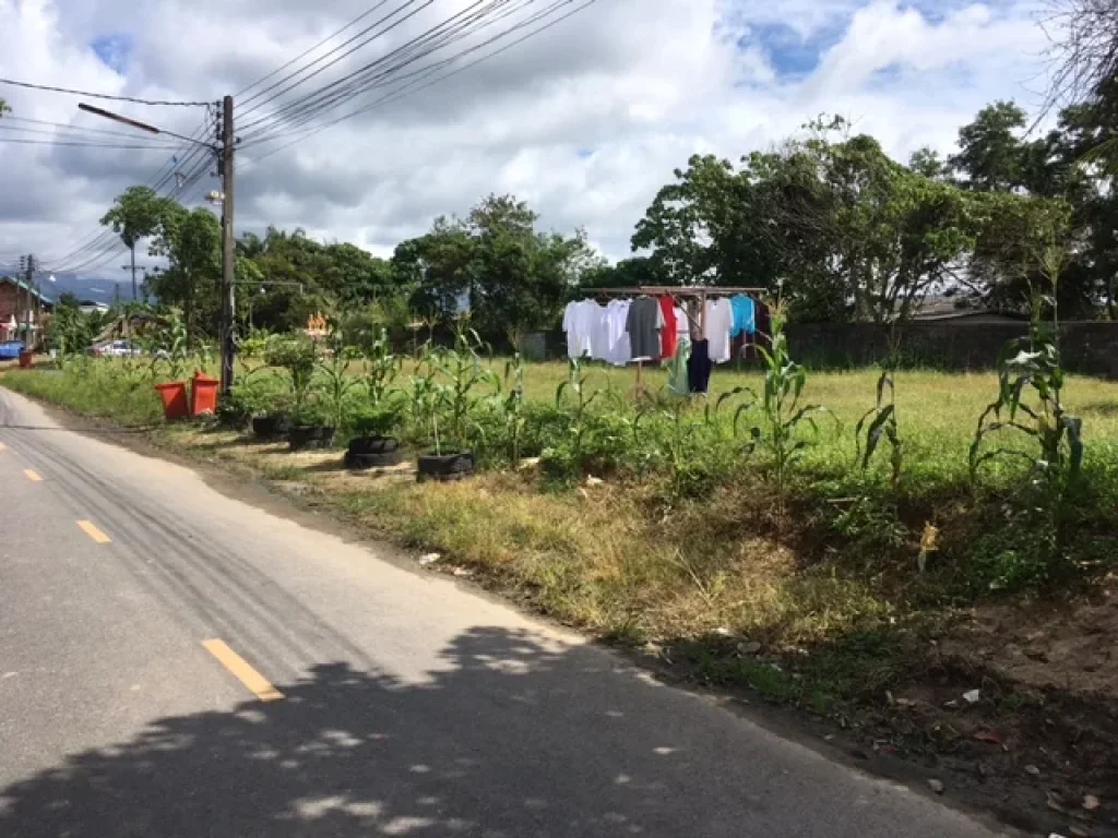 ขายที่ดินถมแล้ว ตชะมาย อทุ่งสง ใกล้ห้างโลตัสเพียง 300 เมตร ขนาดครึ่งไร่ ราคา 4400000 บาท