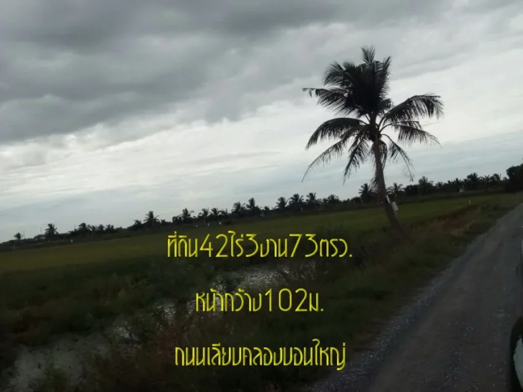 ขายที่ดิน42ไร่3งาน73ตรว หน้ากว้าง102มติดถนนเลียบคลองบอนใหญ่ ตบัวปากท่า อบางเลน จนครปฐม