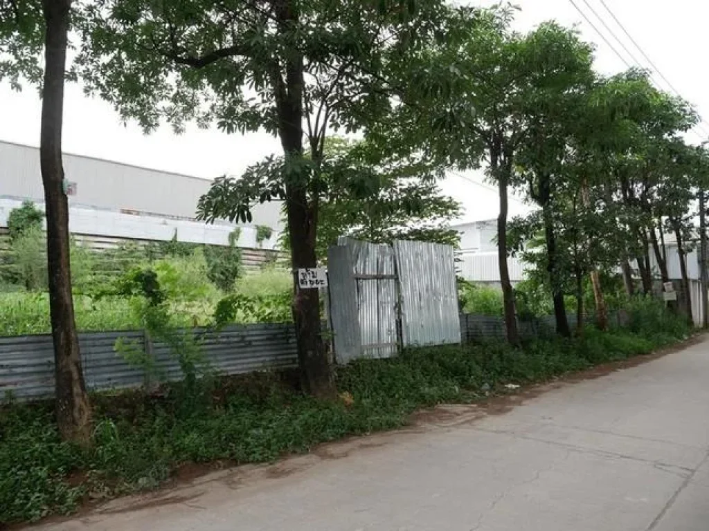 Land For Rent ที่ดิน 1 ไร่ ซอยโพธิ์แก้ว 3 แยก 9