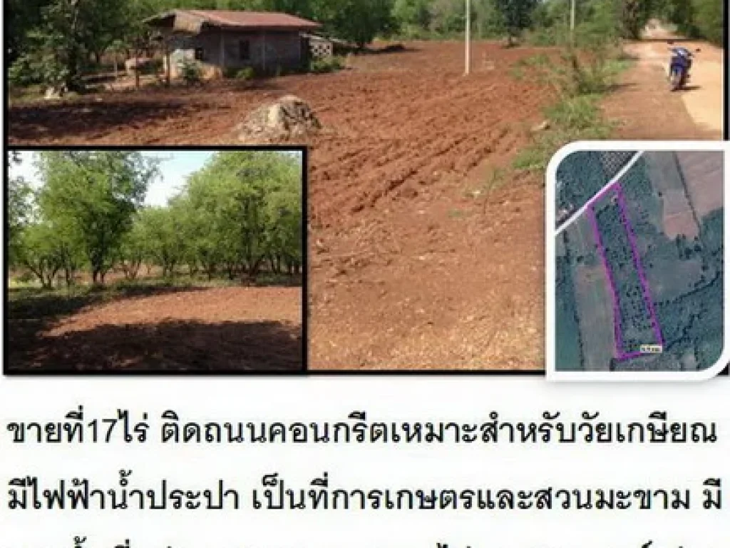 ขายที่ 17 ไร่ โฉนด อหนองไผ่