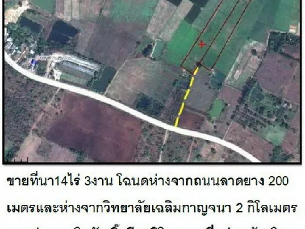 ขายที่นา14ไร่ 3งาน โฉนด ตบ้านโตก