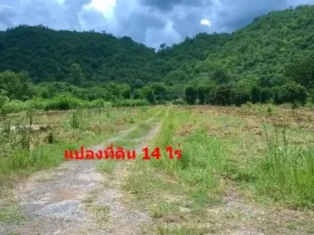 ที่ดินติดถนนธนรัชต์ 14 ไร่ หลังติดคลองน้ำที่ไหลจากลำตะคอง ห่างปาลิโอ 800 เมตร