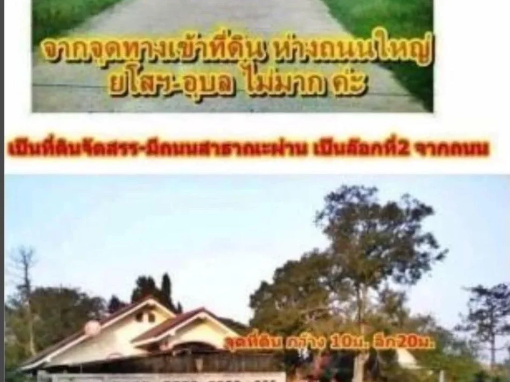 ขายที่ดินสร้างบ้านในชุมชนเมืองใกล้ รพยโสธรแม็คโครโกลบอลรร7-11โลตัสแคทวัน