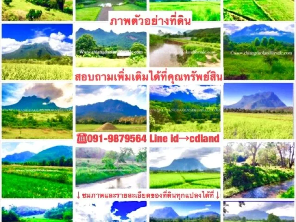 ขายที่ดินจำนวนกว่า 100 แปลงและรับจัดหาที่ดินในแบบที่ท่านต้องการในเขตอำเภอเชียงดาว