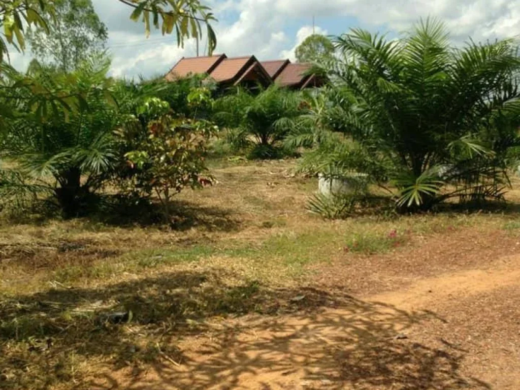 ขายที่ดินในเมืองอุดร