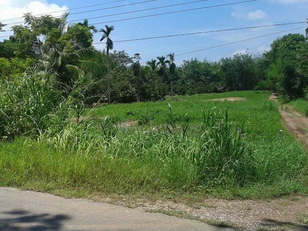 ด่วนขายที่ดินตราด 2 ไร่ ติดถนนดำ ราคาถูก