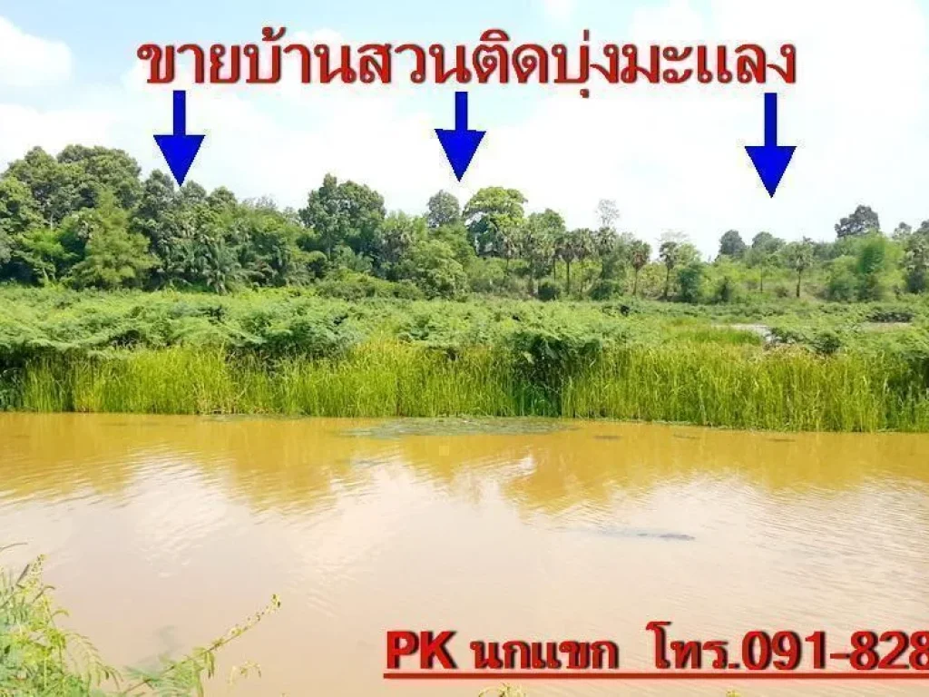 PK บ้านริมน้ำ บุ่งมะแลง บนเนื้อที่ 10 ไร่เศษ อสว่างวีระวงศ์ จอุบลราชธานี