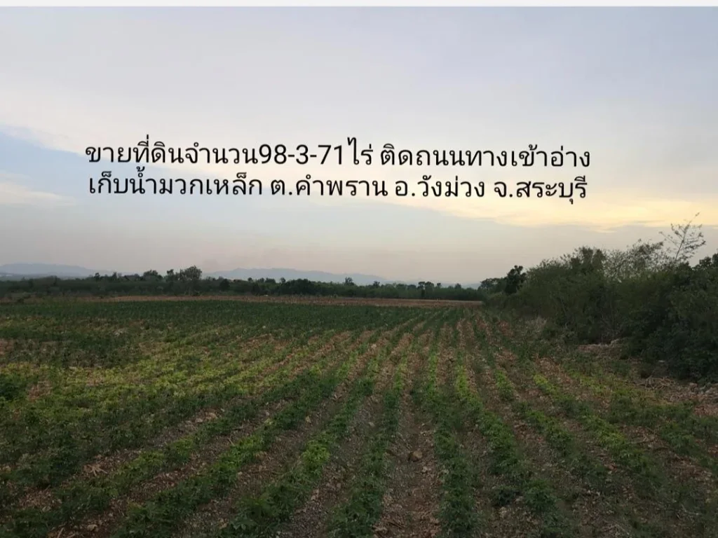 ขายที่ดิน98ไร่ สระบุรี