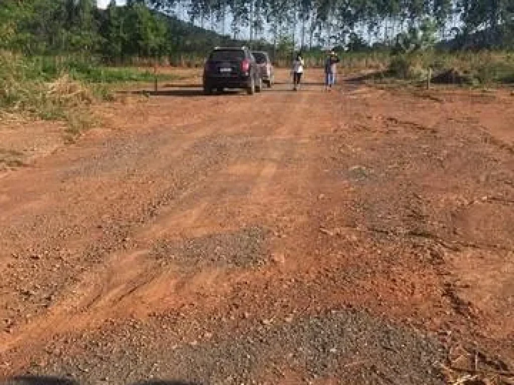 ขายที่ดิน ตพลูตาหลวง อสัตหีบ จชลบุรี