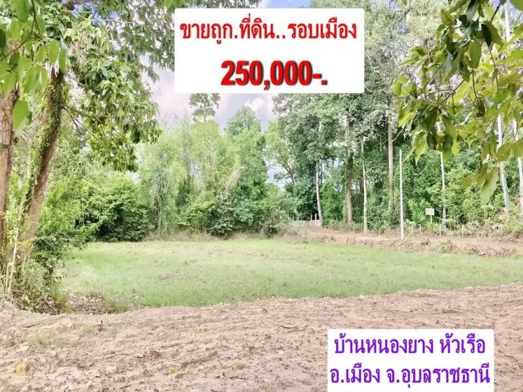 ขายถูก250000- ที่ดิน114ตรว อยู่ในเขตชุมชน