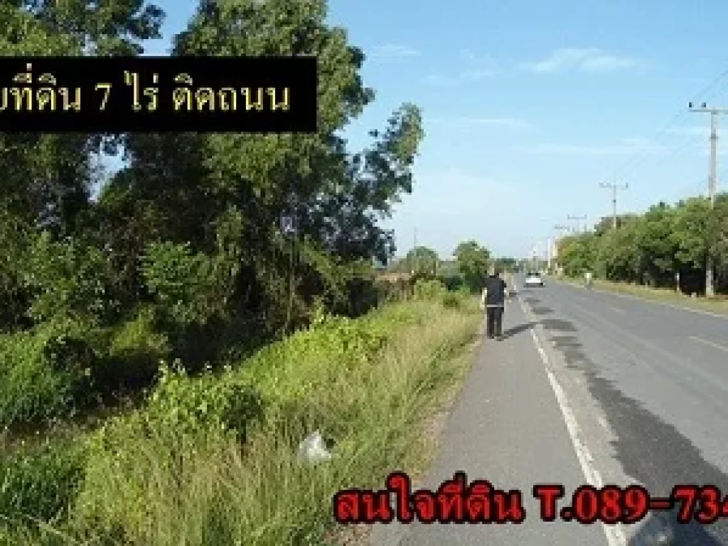 ขายที่ดิน ที่ติดถนน 7 ไร่ จากแยกธนดี ลงไปทางไฟแดง 14 กิโลเมตร