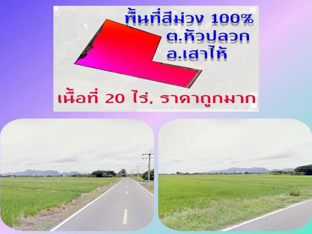  ขายที่ดินราคาถูก 20 ไร่ สระบุรี พื้นที่สีม่วง 100 สร้างโรงงานได้