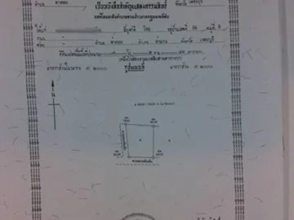 ขายด่วนที่ดินท่ายางใกล้แหล่งความเจริญราคาถูกมากๆ