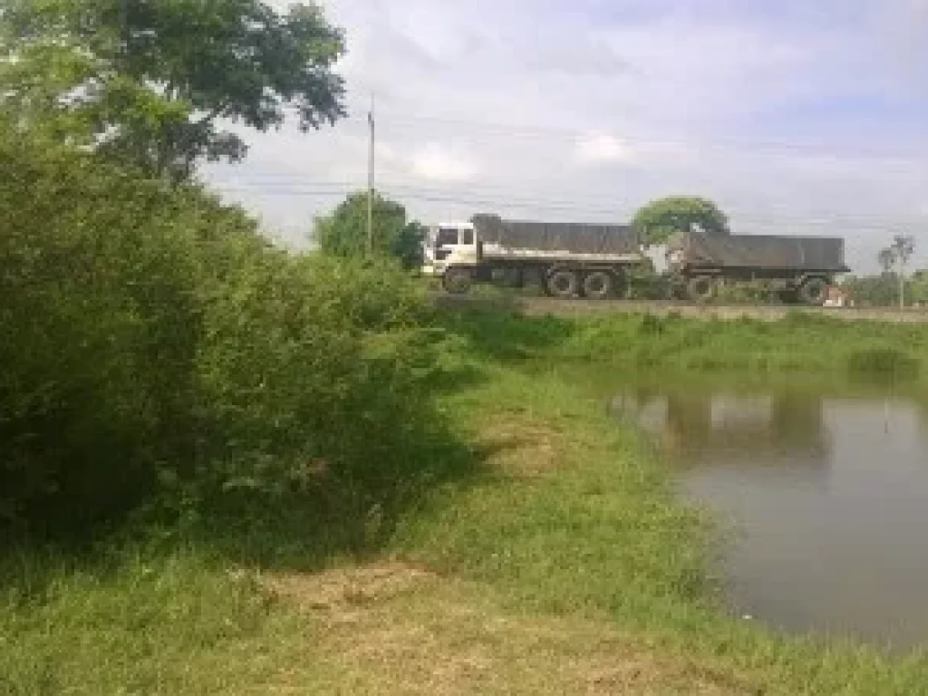 ขายด่วนมากๆ ที่ดินสุรินทร์ใกล้แยกหนองเต่าห่างเลี่ยงเมืองประมาณ 30 เมตร