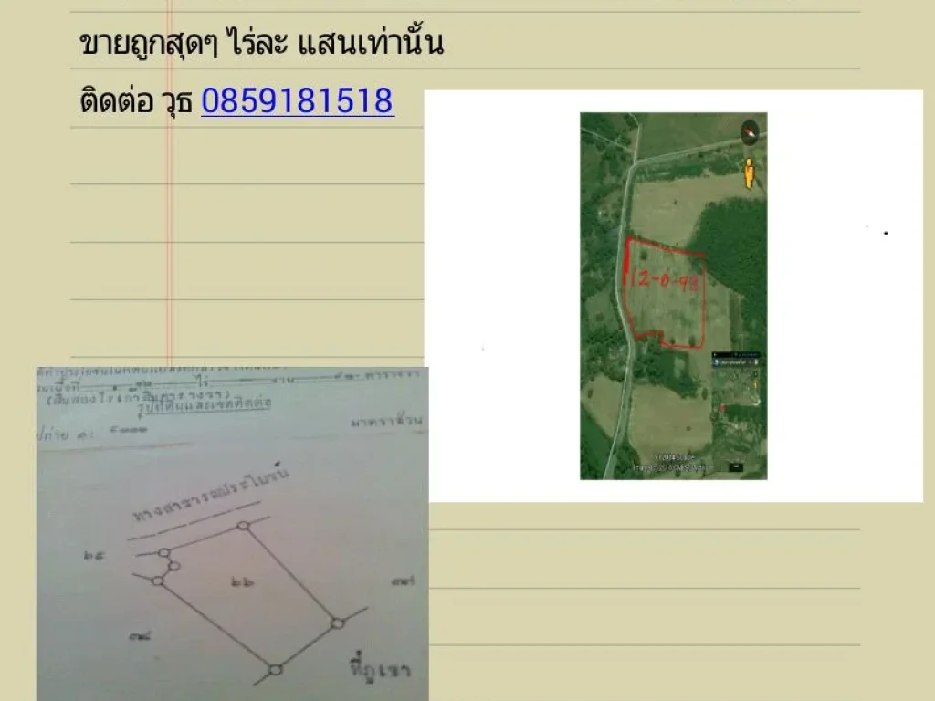 ขายที่ดิน ไพรนกยูง หันคา ชัยนาท