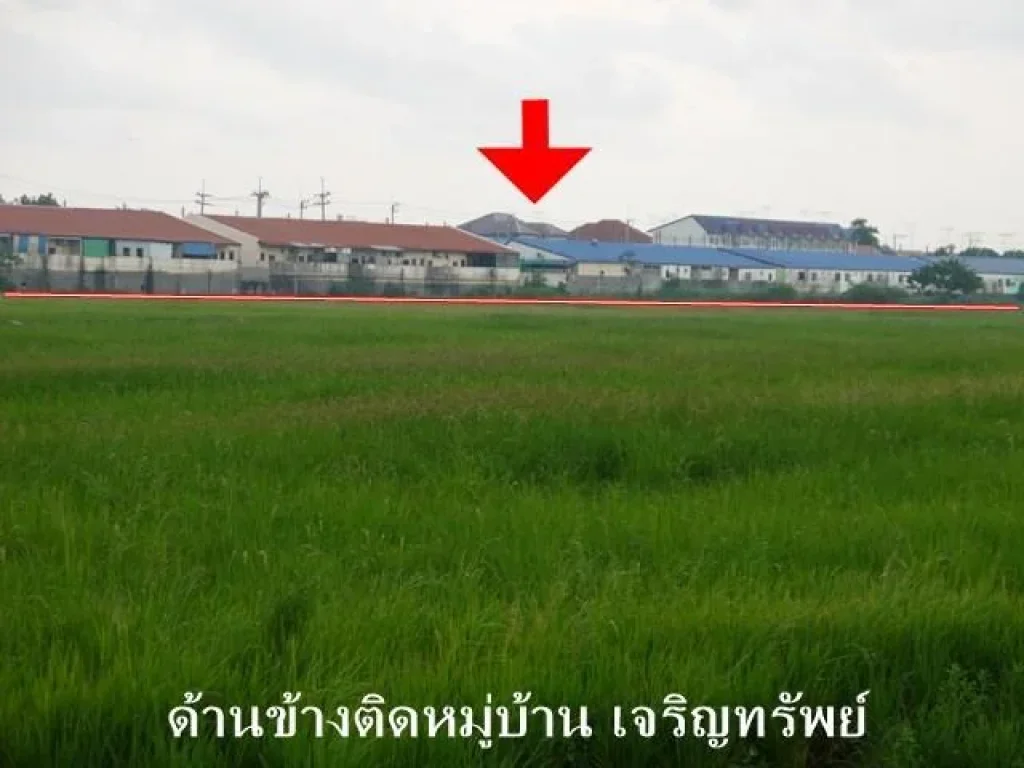 ทึ่ดิน 60 ไร่ ติดถนนเอเชีย หน้ากว้าง 230 เมตร ติดถนน 2 ด้าน ตบ้านเกาะ จอยุธยา เจ้าของขายเอง