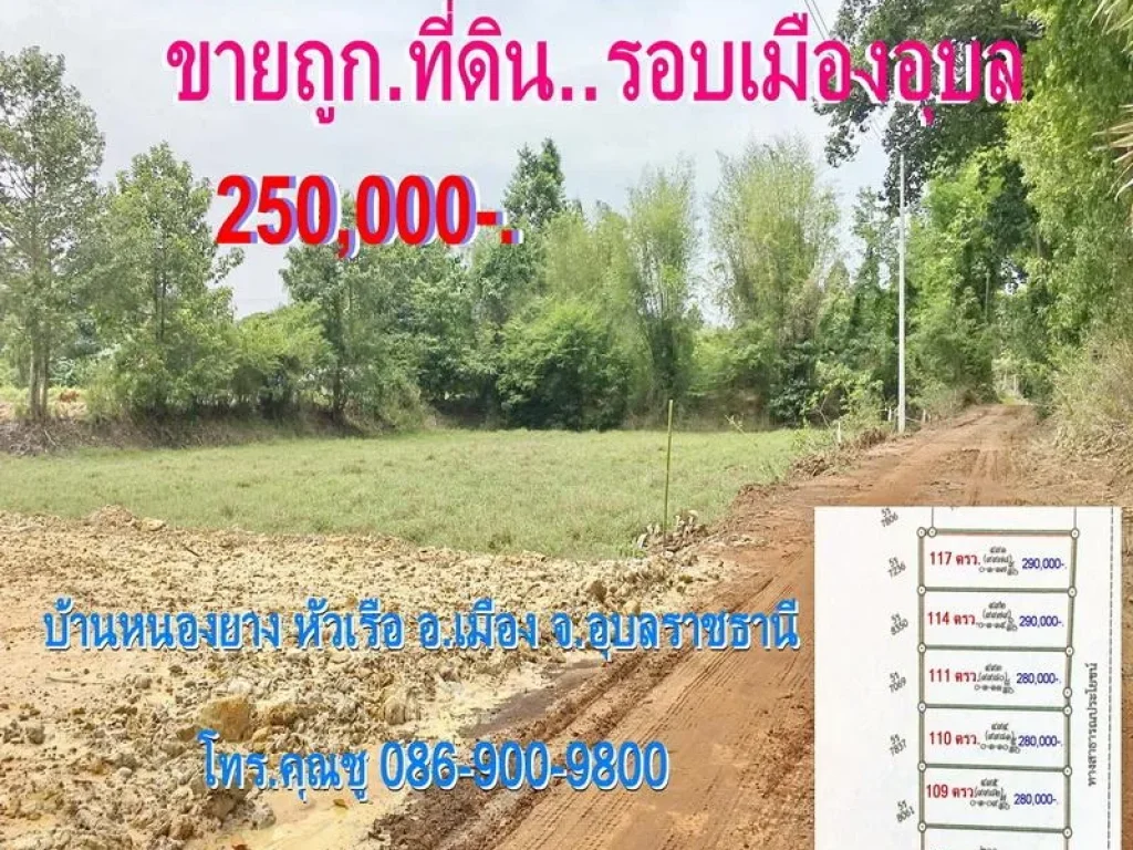 ขายถูก 250000- ที่ดิน110 ตรว รอบเมืองอุบลฯ