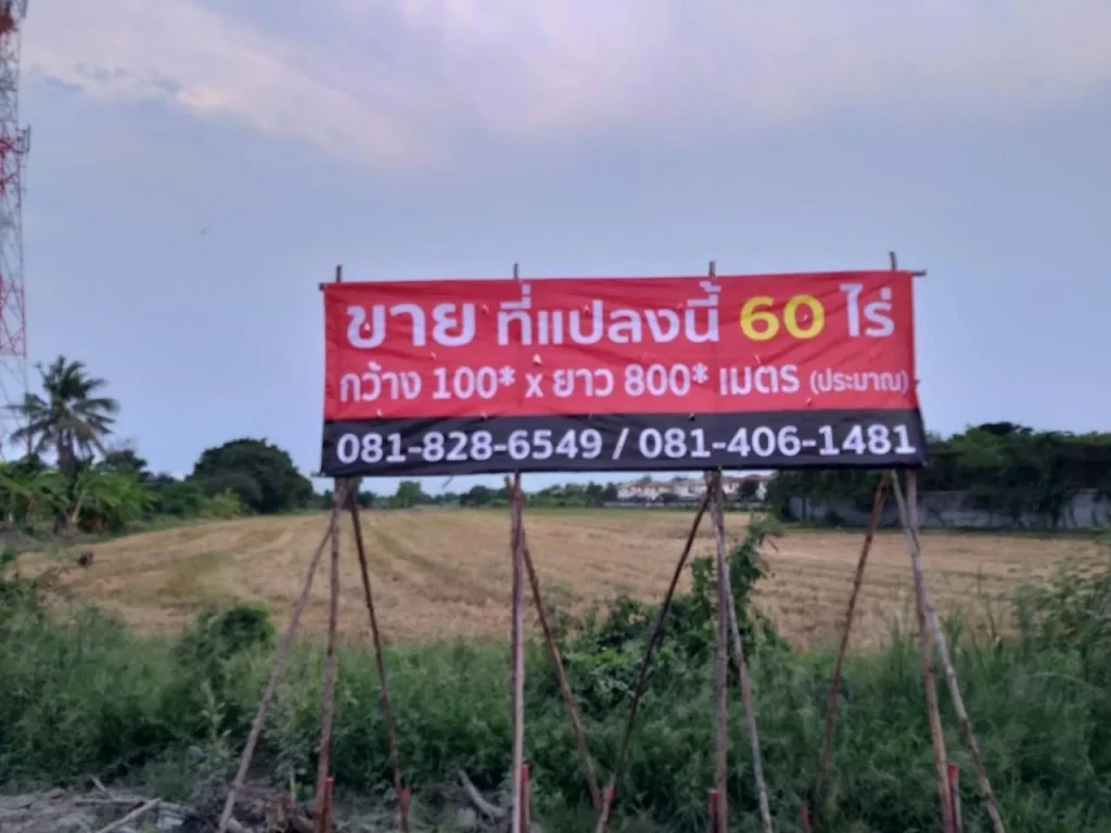 ขายที่ดิน 60 ไร่ ใกล้คุ้มเกล้า 12 ลาดกระบัง มีนบุรี กรุงเทพ