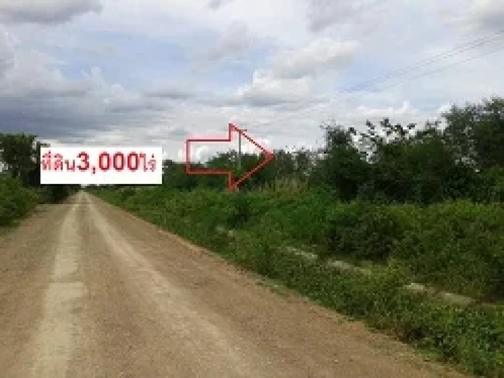 ที่ดิน3000ไร่ใกล้วัดสมอระบังใกล้วัดหนองปลาไหล อำเภอเขาย้อย เพชรบุรี ขาย250ล้านบาท