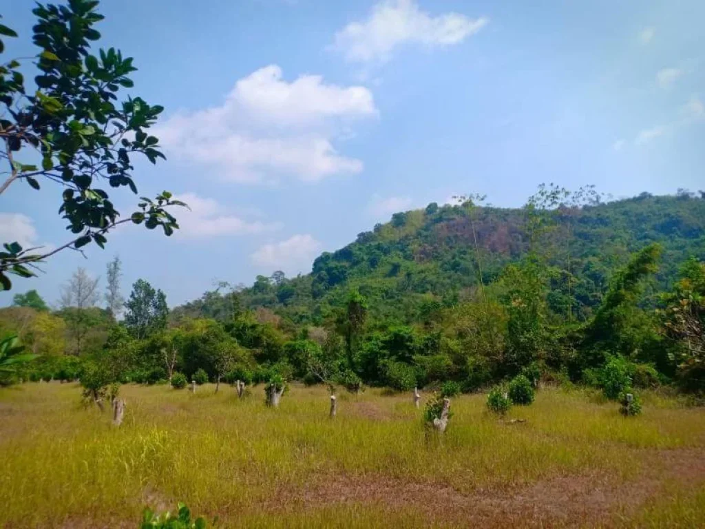 ขายที่ดินสาริกานครนายก ติดวิวเขา ติดน้ำ เขาราชสีห์