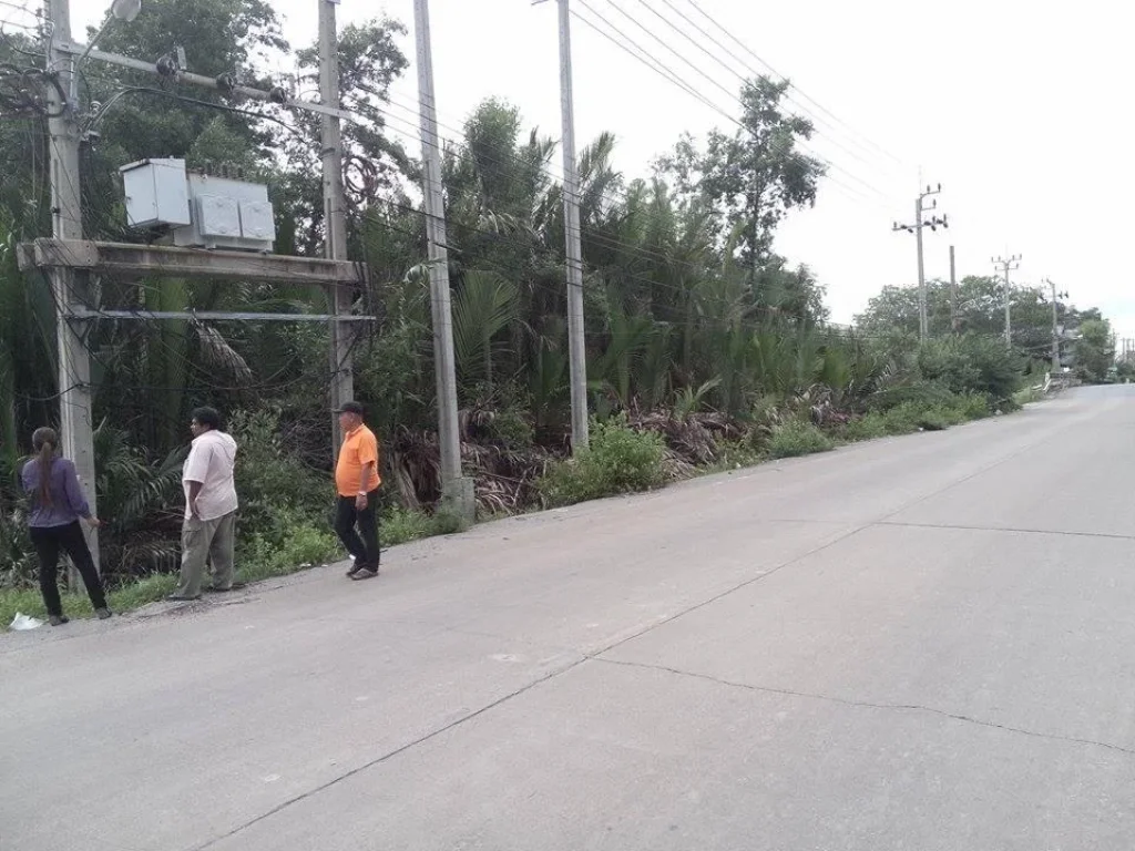 ที่ดิน 2 ไร่ ติด ถนนประชาอุทิศราคาถูกมาก