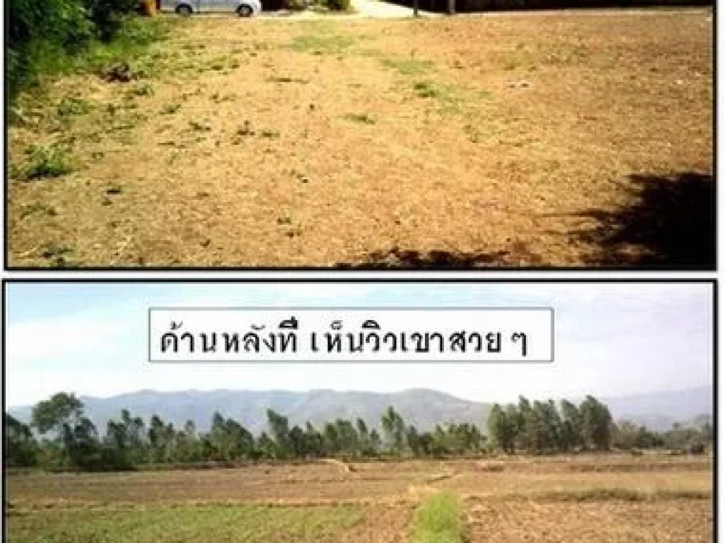 ขายที่ ตบ้านโตก