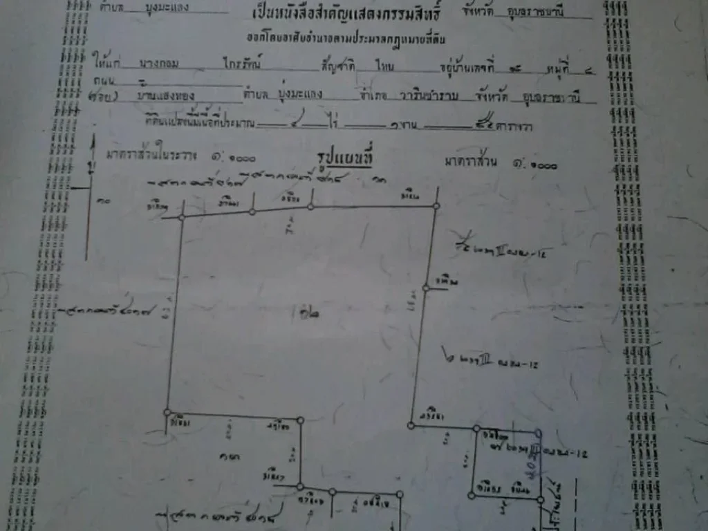 ขายด่วนๆที่ 4ไร่ 3งาน ห่างทางหลวง217 แค่100 เมตร