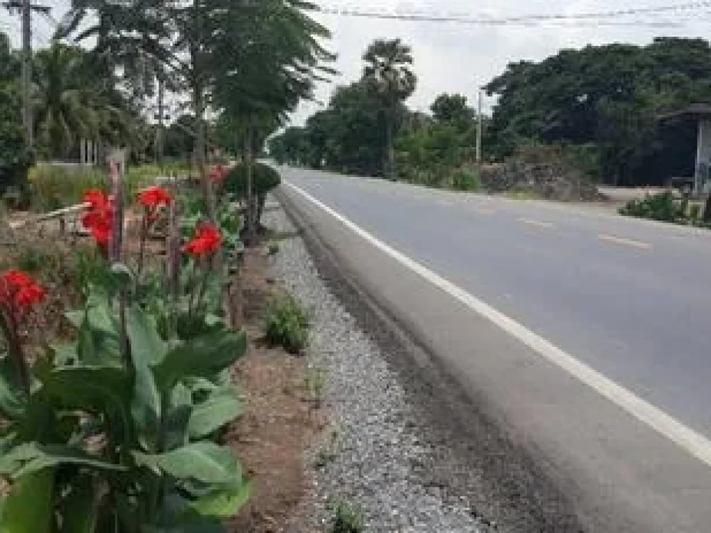 ขายที่ดินติดถนนผดุงพันธ์ จำนวน 4 ไร่ หนอกจอก เจ้าของขายเอง