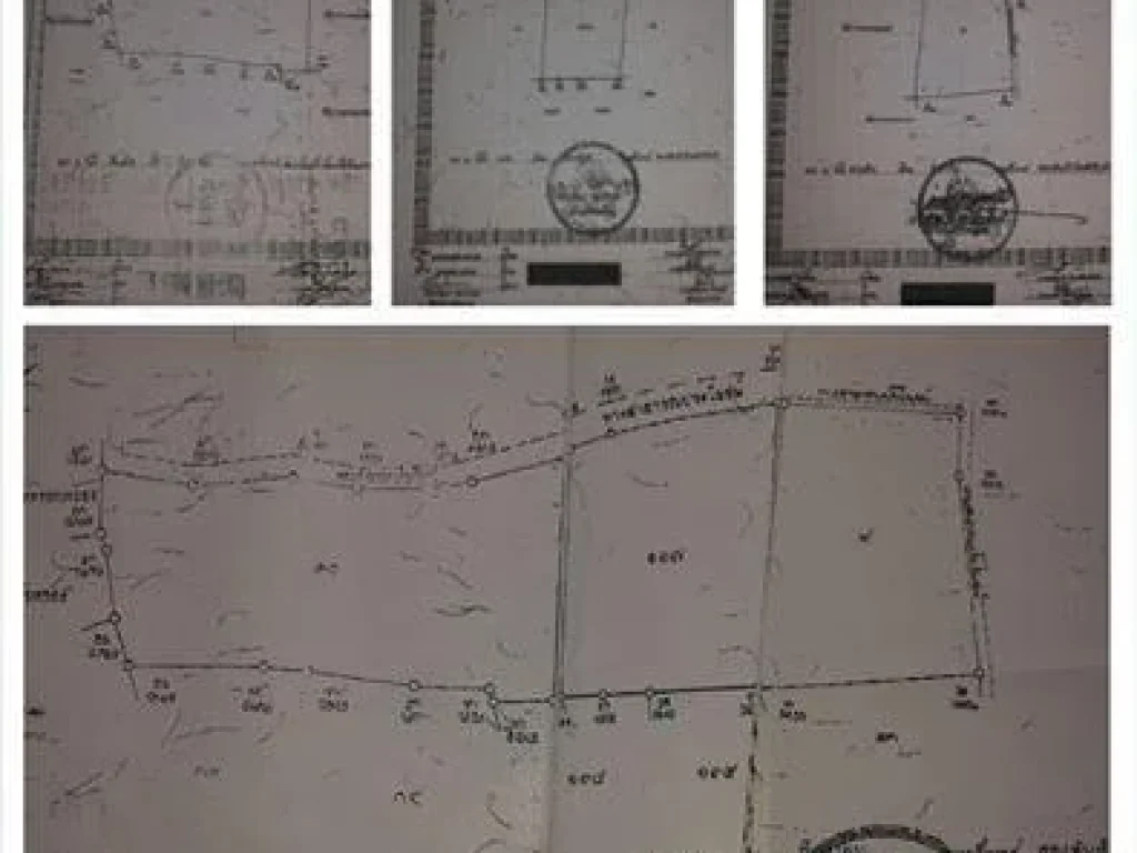 ตามหาเจ้าของที่ดินคนใหม่มาดูแลที่ดินแปลงนี้