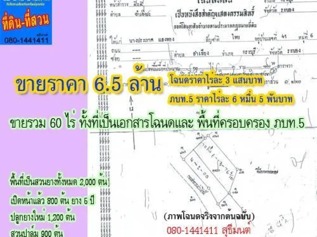 สวนยาง2พันต้น- ปาล์ม900 เอกสารโฉนด 60 ไร่ ขาย 65 ล้าน โทร080-1441411 สุธีมนต์