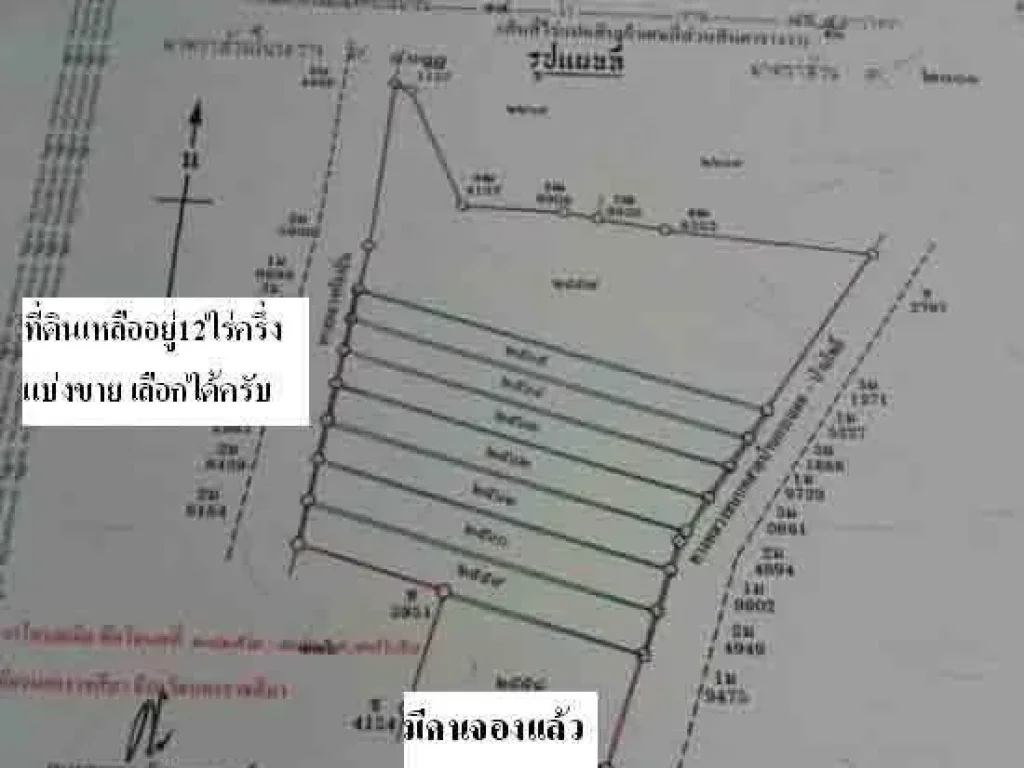 ขายที่ดินตั้งแต่1ไร่ ถึง7ไร่ เหมาะทำโรงงาน โกดัง คอนโด อพาร์ทเม้นต์ ใกล้บายพาสใหม่