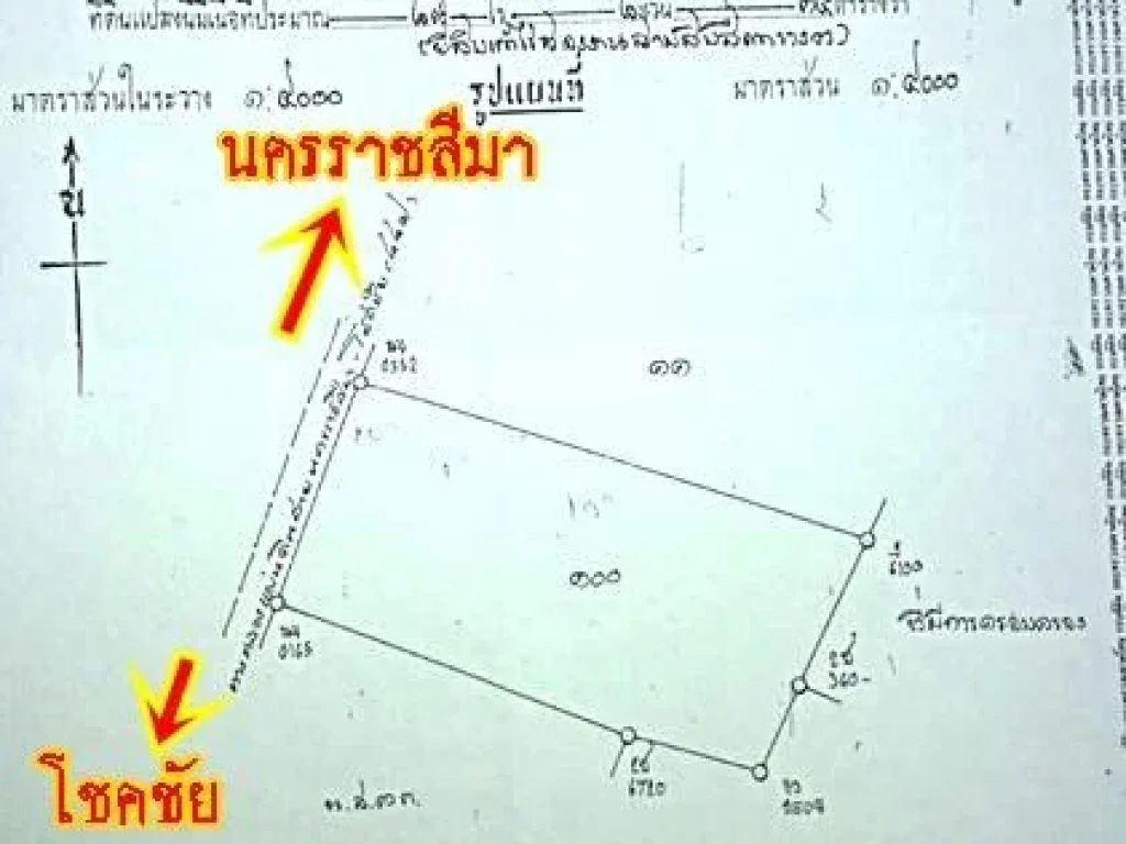 ที่ดินแปลงใหญ 29 ไร่ หน้ากว้าง ติดถนนราชสีมา-โชคชัย สวยมากราคาถูก