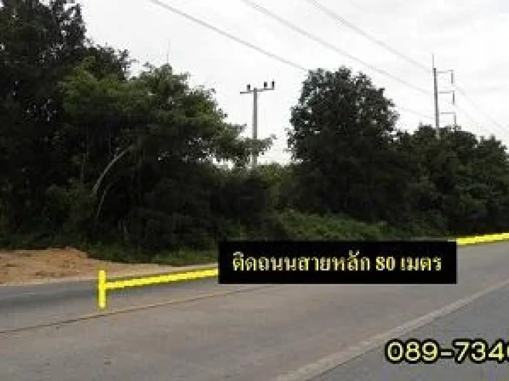 ขายที่ดินติดถนนใหญ่ สายน้ำกระจาย-ทุ่งหวัง 10 ไร่ ราคาถูก