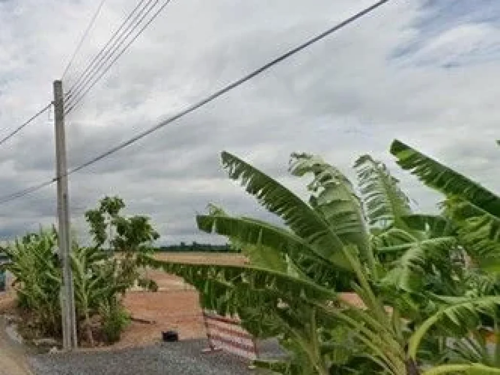 ขายที่ดิน 2 ไร่ ลำผักชี หนองจอก กรุงเทพมหานคร ถนนสุวินทวงศ์