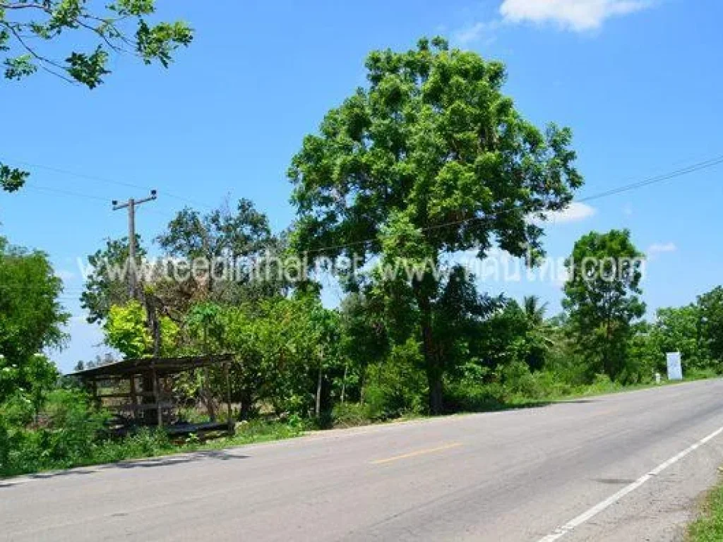 ขายที่ดินบ้านหมี่ - ที่ดินไทย 274 ไร่ โฉนดนส3ก ตดอนดึง อบ้านหมี่ จลพบุรี รหัส1946