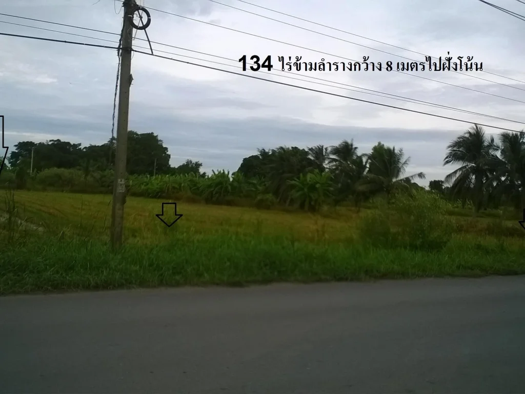 ขายที่ดิน 134 ไร่ขายไร่ละ 18 ล้าน ติดถนนร่วมพัฒนา-ขุมทอง-ลำต้อยติ่ง ขนส่งพื้นที่4 เส้นทางลัดสุวรรณภูมิ เขตหนองจอก ก