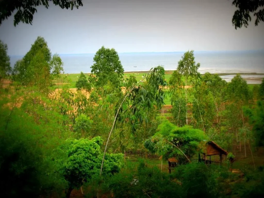 ที่ดินขอนแก่นเขื่อนอุบลรัตน์ติดหาดบางแสน2