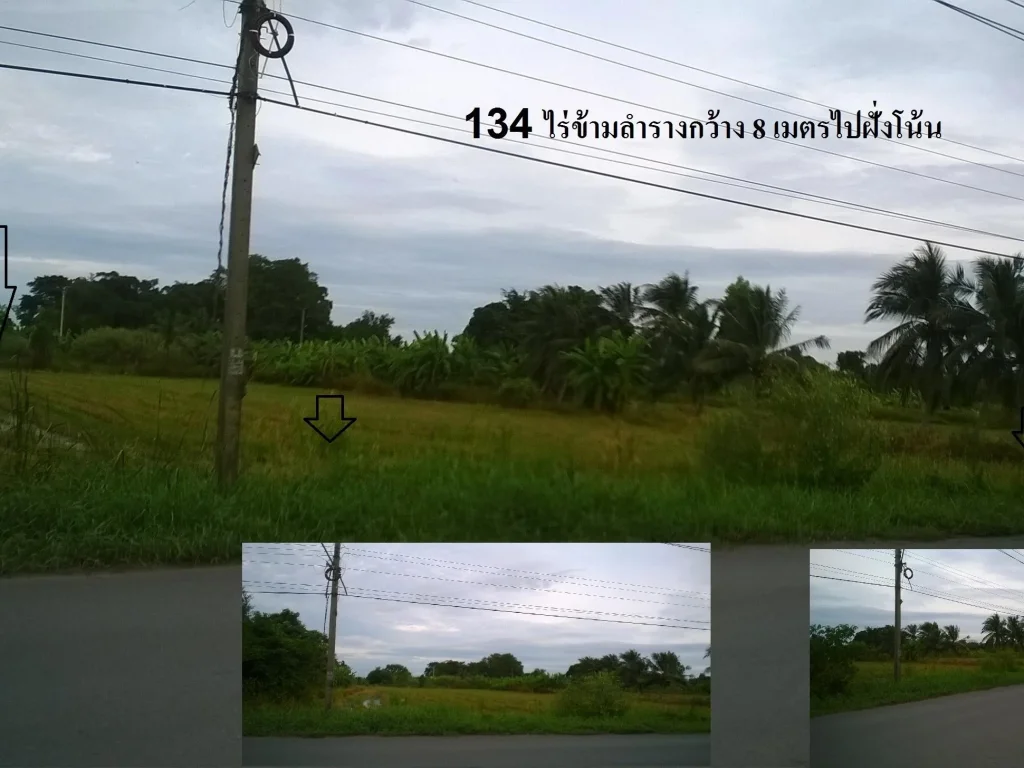 ขายที่ดิน 134 ไร่ ติดถนนร่วมพัฒนา-ขุมทอง-ลำต้อยติ่ง ขนส่งพื้นที่4 เส้นทางลัดสุวรรณภูมิ เขตลาดกระบัง กทม