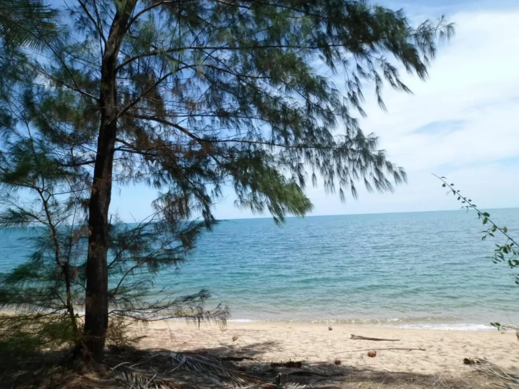 ขาย30ไร่ที่ดินติดทะเลหลังติดถนนหาดแสงอรุณทะเลน้ำใสถูกมาก19ล้านไร่