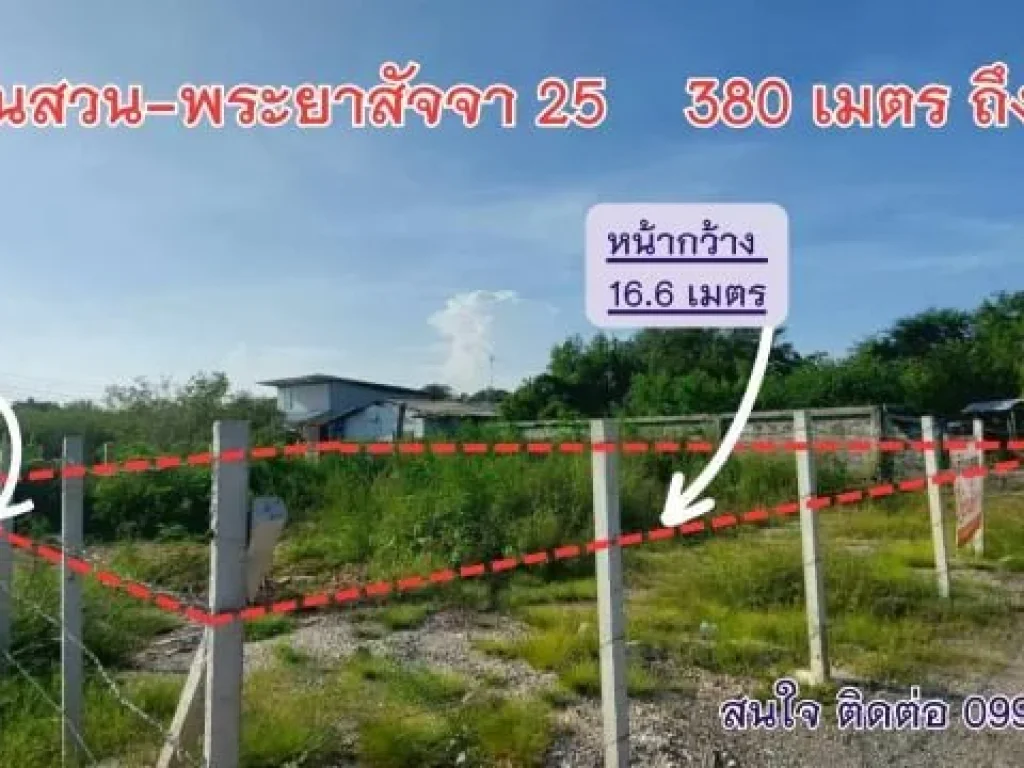 ขายที่ดิน ใกล้ทะเล ชลบุรี เพียง 175 เมตร ที่ดินแปลงนี้ ขนาด