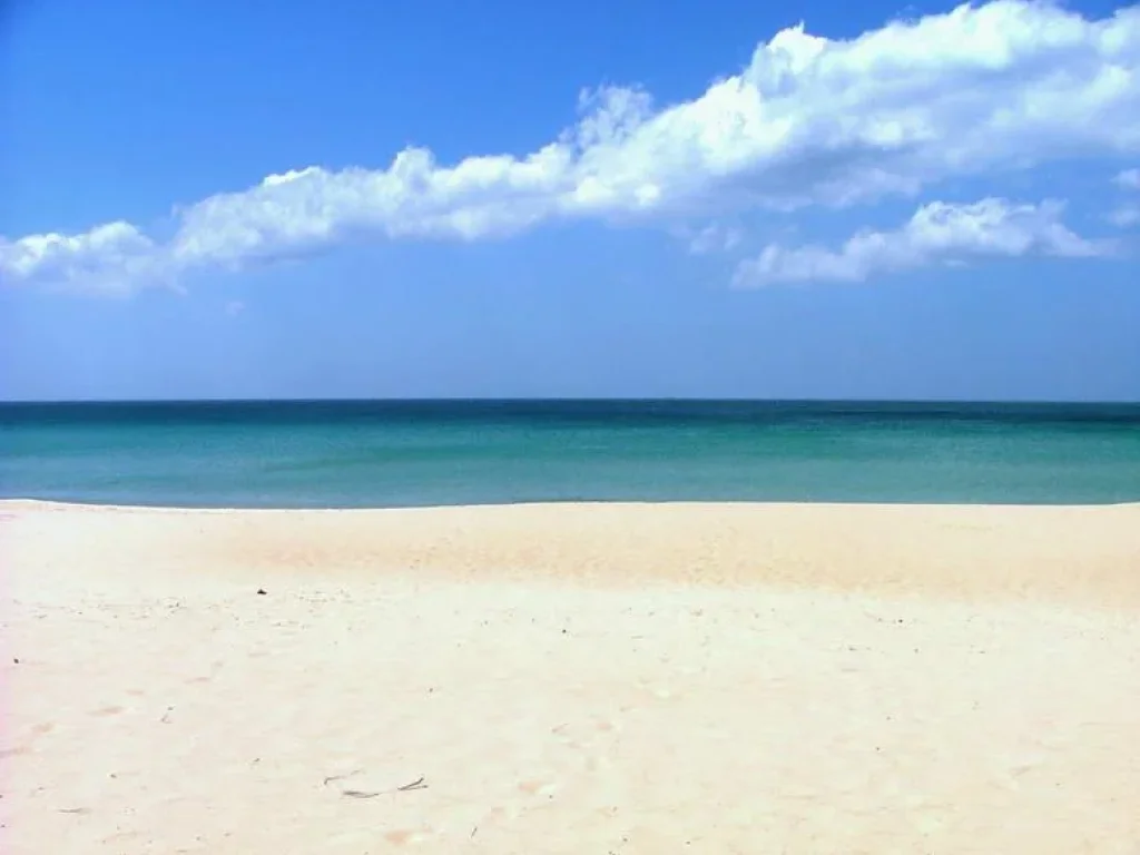 ขายที่ดินติดทะเลจังหวัดระยอง ชายหาดส่วนตัวสวยมาก