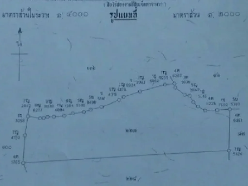 ขายด่วน ที่ 10 ไร่ มีโฉนด เลขที่โฉนด 10931