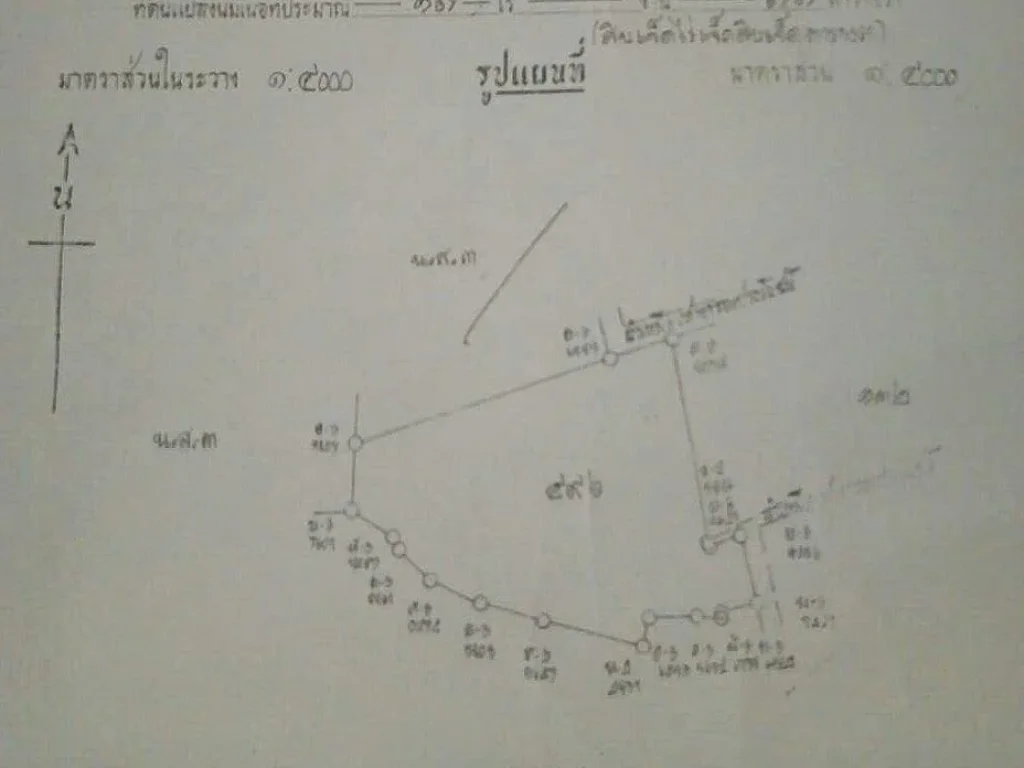 ขายที่นาแปลงสวยทำเลธุรกิจ เนื้อที่ 17 ไร่ 77 ตารางวา ตร้องวัวแดง อสันกำแพง จ เชียงใหม่