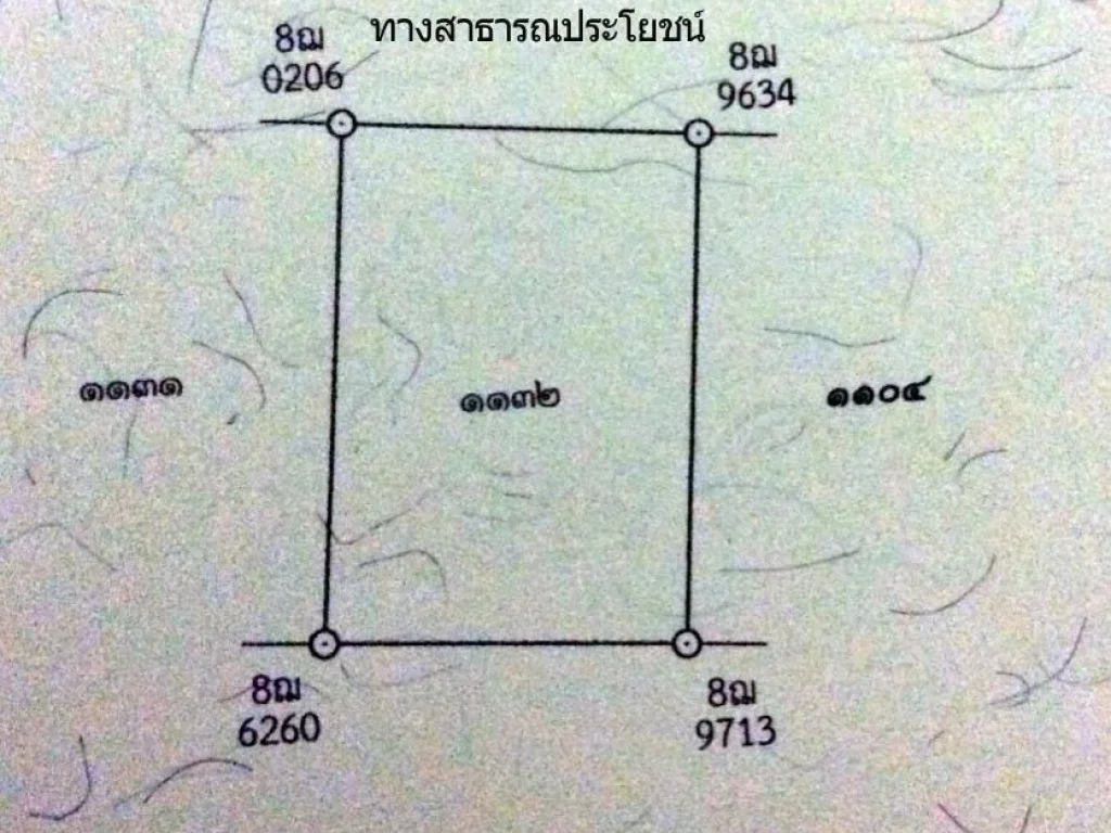 ขายที่ดิน 2 ไร่ 2 งาน 38 ตารางวา ใกล้นิคมอมตะ นิคมเจริญสิน นิคมใหม่หนองม่วง