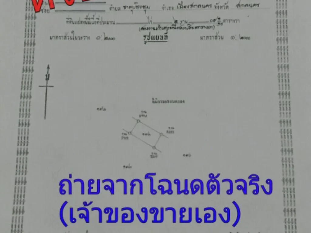 ขายที่ดิน 200 ตารางวา ตธาตุนาเวง อเมือง จสกลนคร